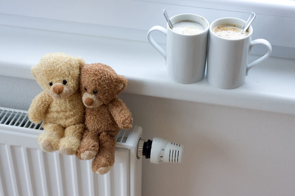 Check your central heating is ready for winter.